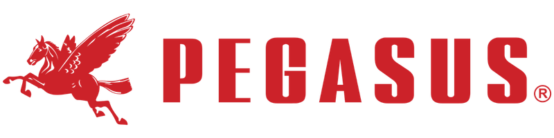 Pegasus